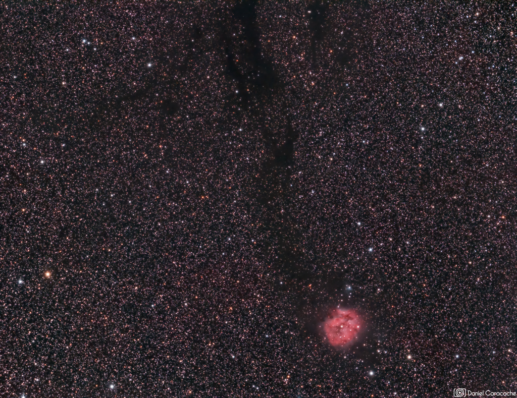 Daniel Caracache - Cocoon Nebula
