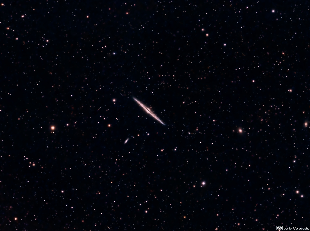 Daniel Caracache - Needle Galaxy